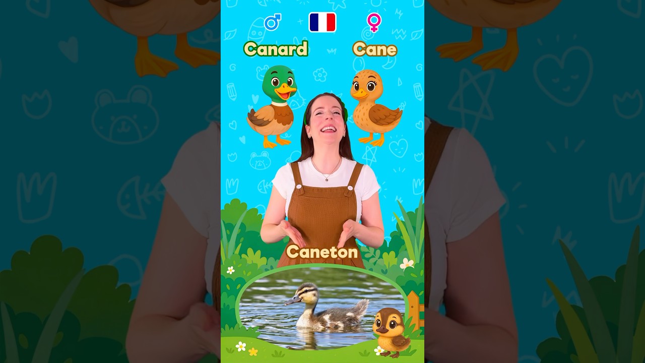 Les animaux en famille 🇫🇷 pour enfants