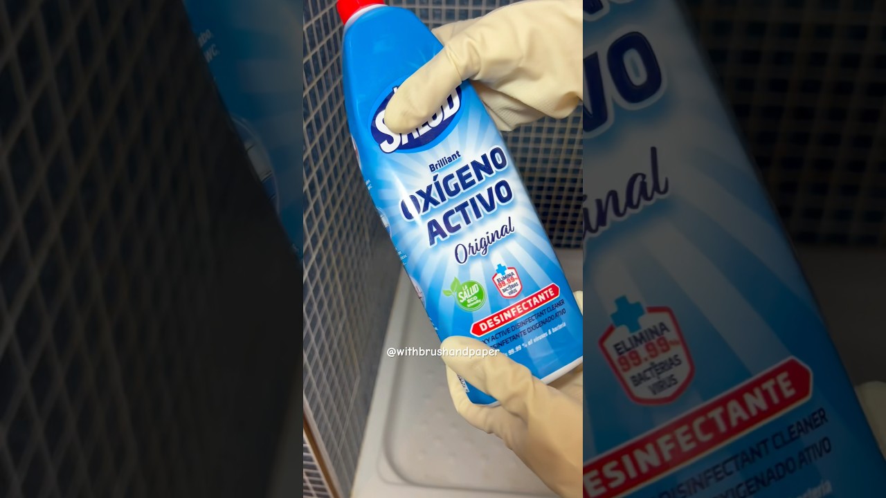 ¡Adiós al Moho! Consejos efectivos para eliminarlo y mantener tu baño limpio 🧼