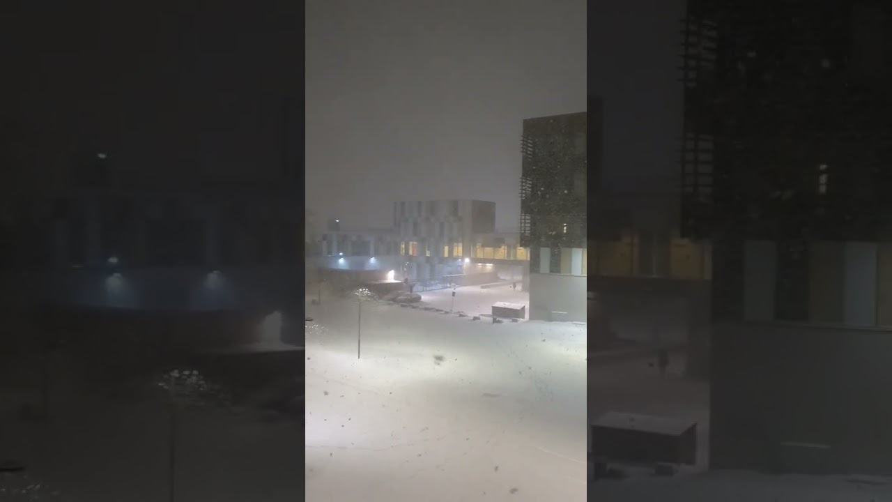 Snowstorm Hits Stockholm Today ❄️