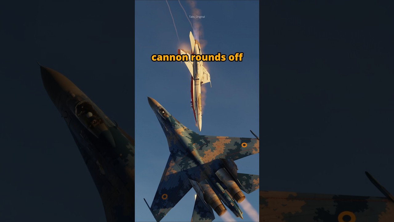 Flanker vs Hornet Guns Duel in DCS World ✈️