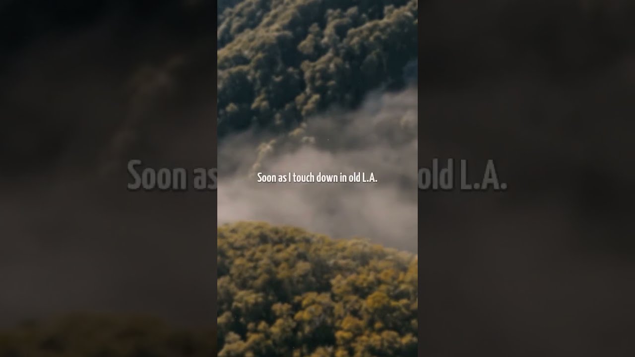 MARINA - Hollywood Pop Lyrics 🎶