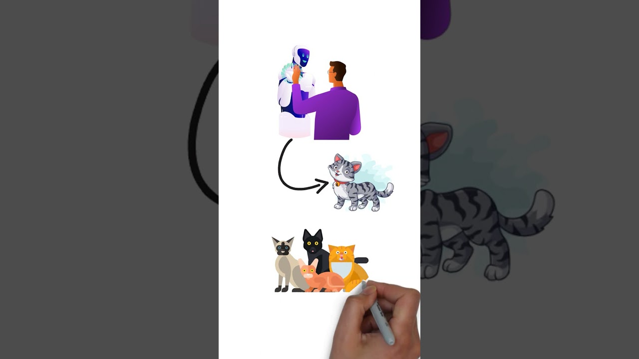 AI Learning: Training vs. Inference Explained 🤖