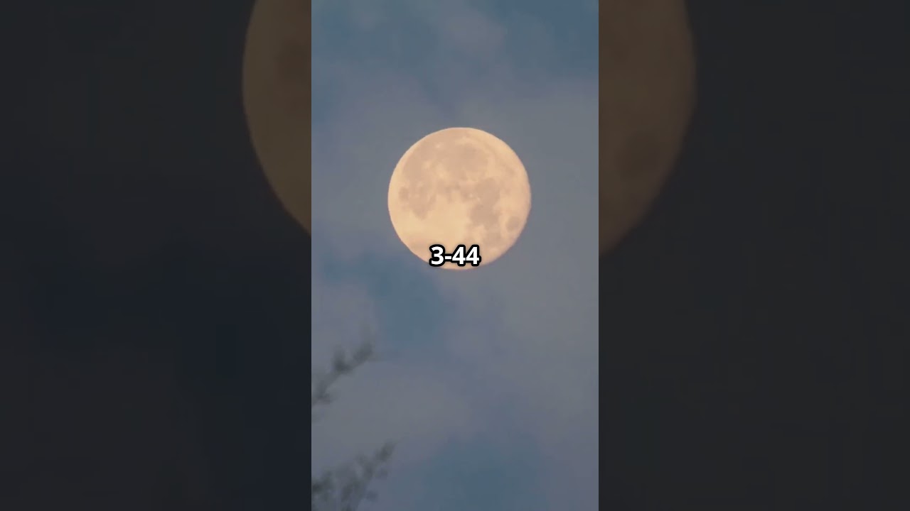 2025 Full Moon Dates You Can't Miss 🌕