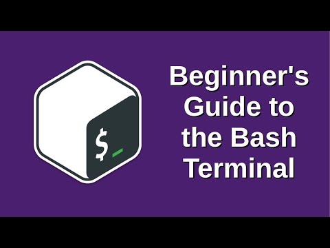 Bash Terminal Beginner's Guide 🖥️