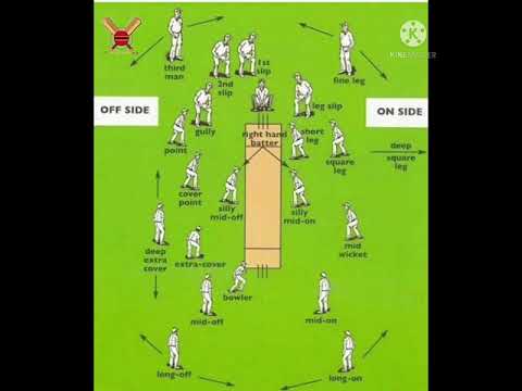 #fielding positions in cricket#