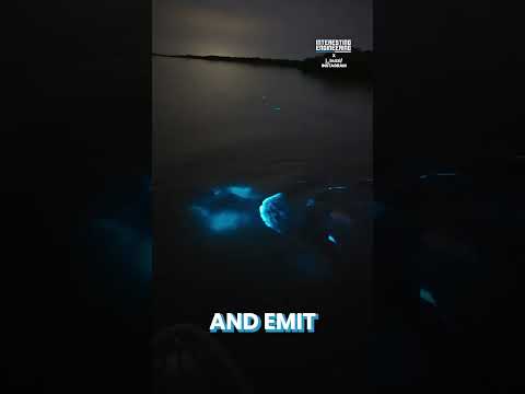 Bioluminescent Swimming