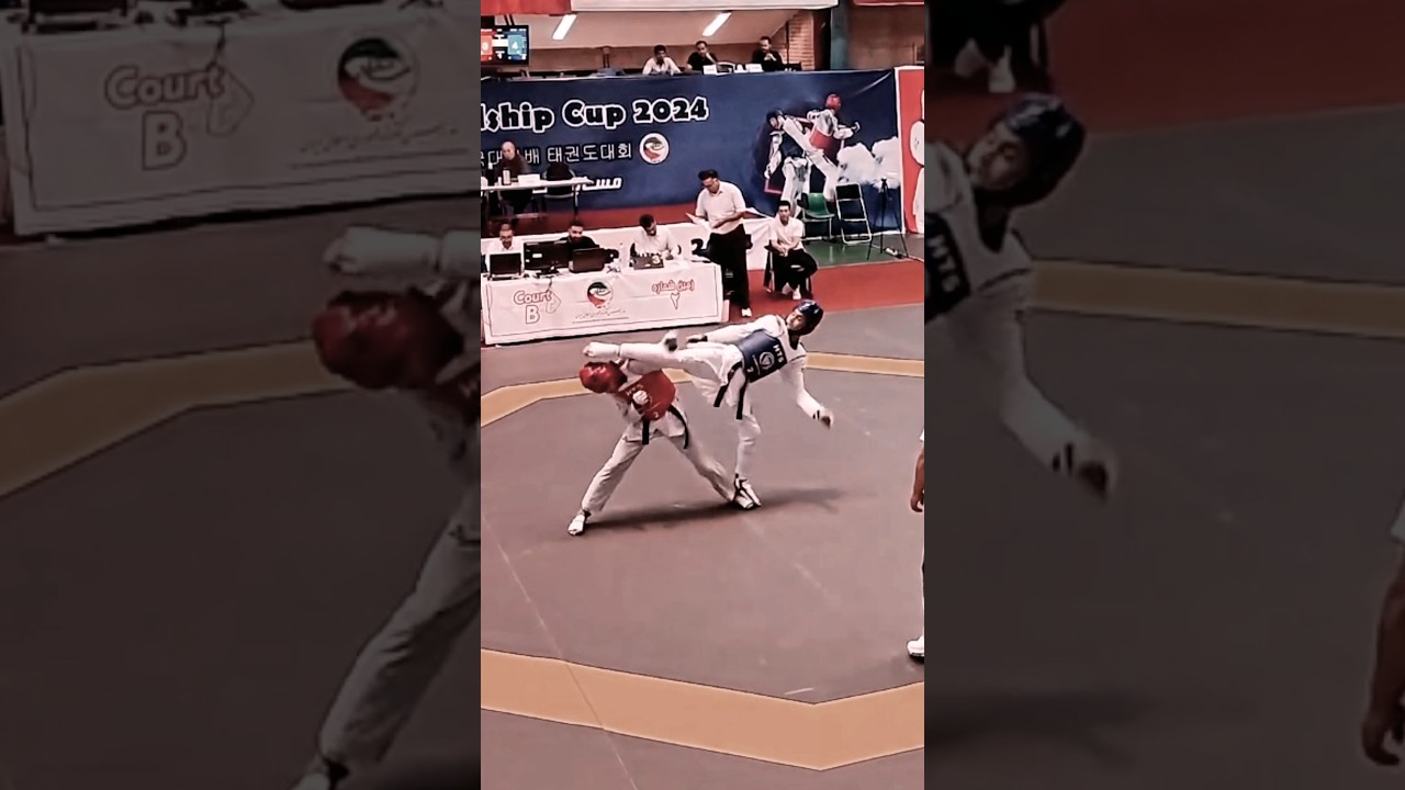 Impressive Taekwondo Fight Point Knockout