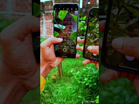 vivo x200 vs iphone 15 camera test // best camera phone #shortfeed #shorts #shortvideo