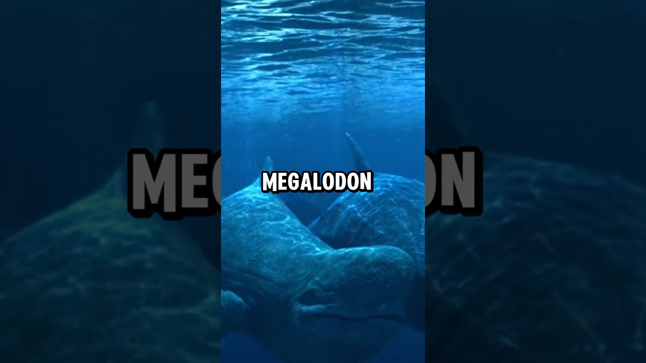 Scariest Ocean Sound 🌊