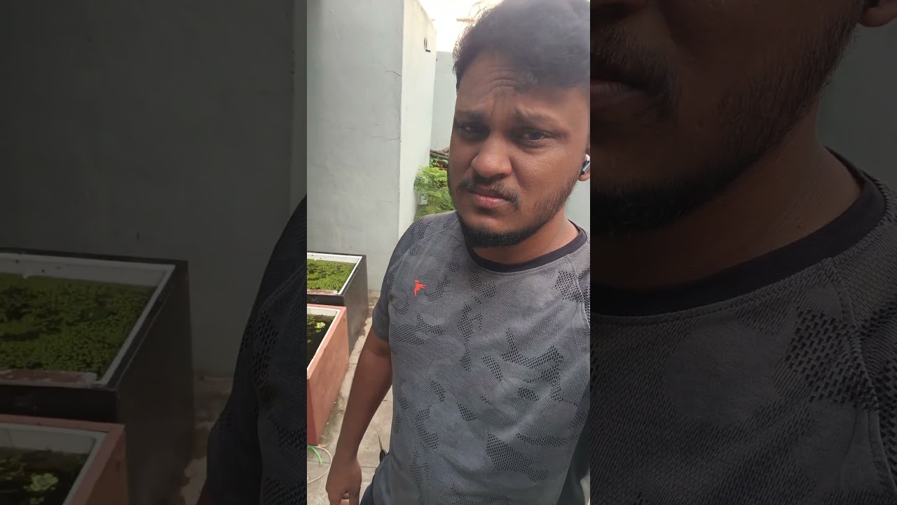 எங்கள் தாமரை மீன் இப்போது இல்லை 😢 – என் இதயத்தில் ஒரு பகுதி போனது