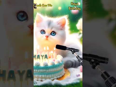 HAYA BIRTHDAY | HAPPY BIRTHDAY SONG WITH NAMES | Adorable Cute Cat 😺 #cat #happybirthday #cake