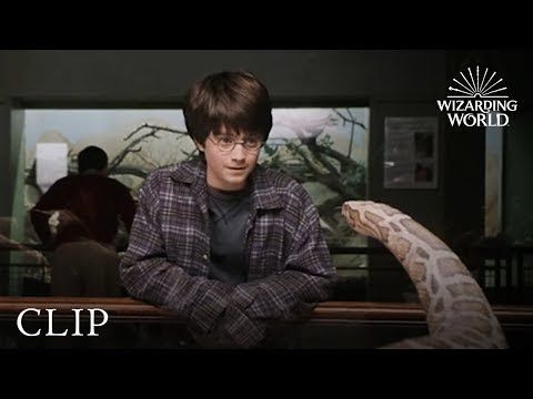 Harry and the Snake | Harry Potter and the Philosopher's Stone