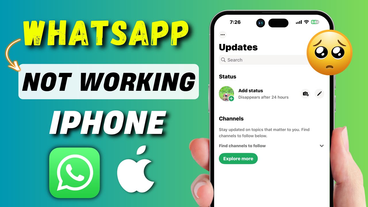Fix WhatsApp Not Working on iPhone in 3 Easy Steps 📱