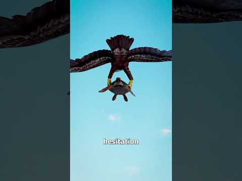 Mistaken For A Rock 😢