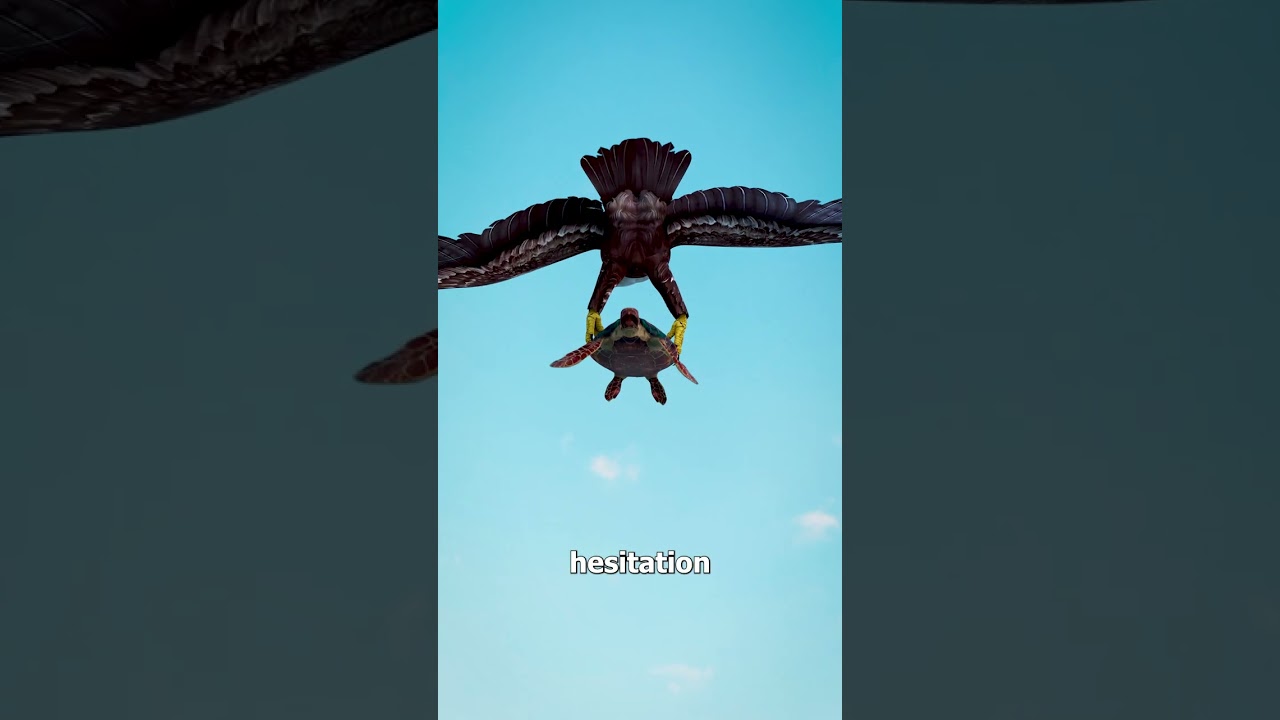 Thought I Was a Rock! 😢 | Funny Mistaken Identity Story