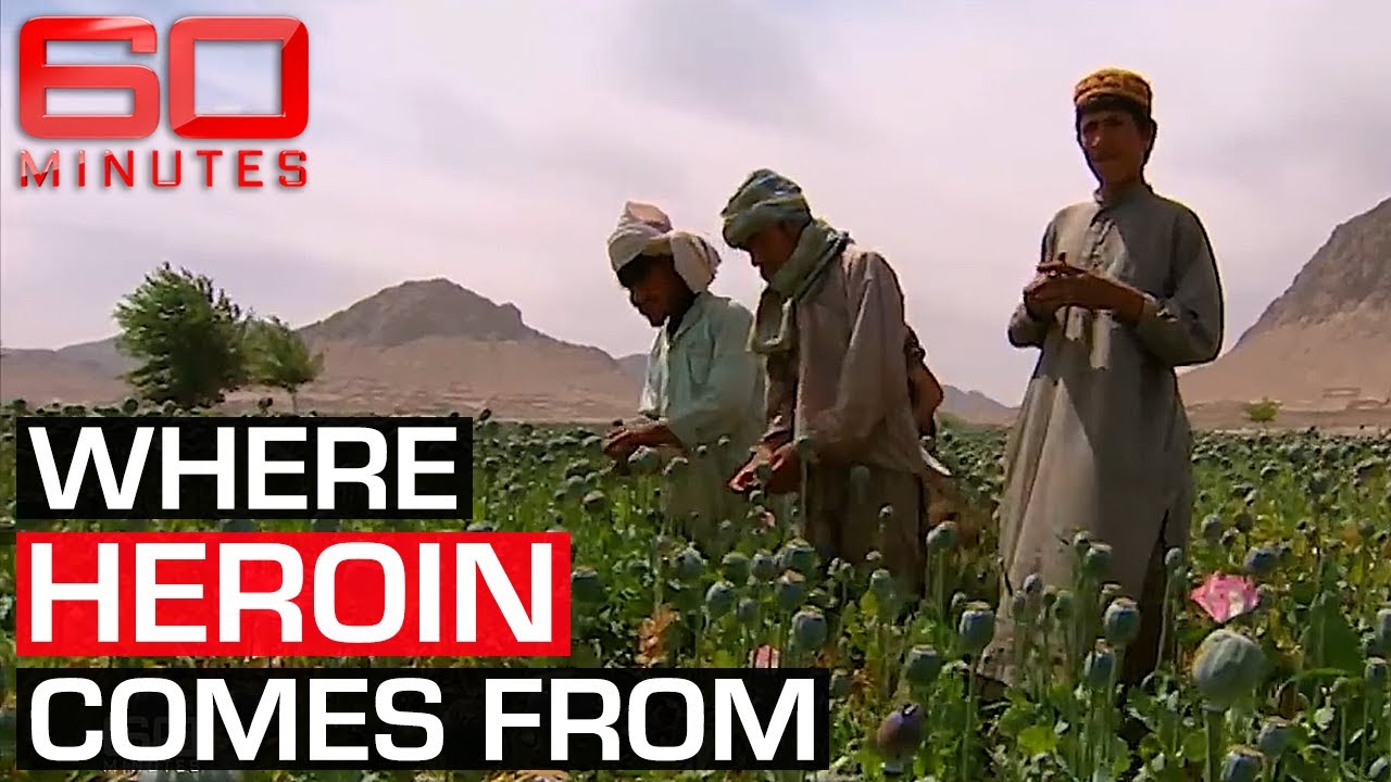 Afghanistan's Growing Opium Trade 🌿