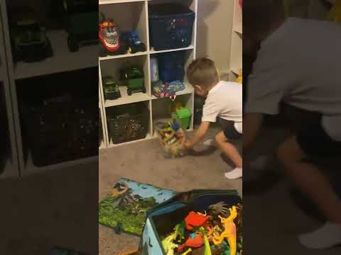 Family Screams After Finding Mouse in House || ViralHog