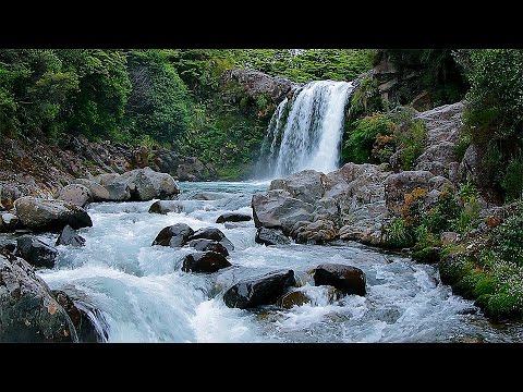 Entspannender Wasserfall & Naturgeräusche 🌿