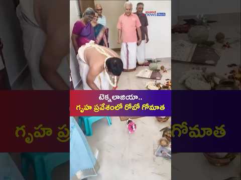 టెక్నలాజియా.. గృహ ప్రవేశంలో రోబో గోమాత | Apartment Housewarming New Trend | Asianet News Telugu