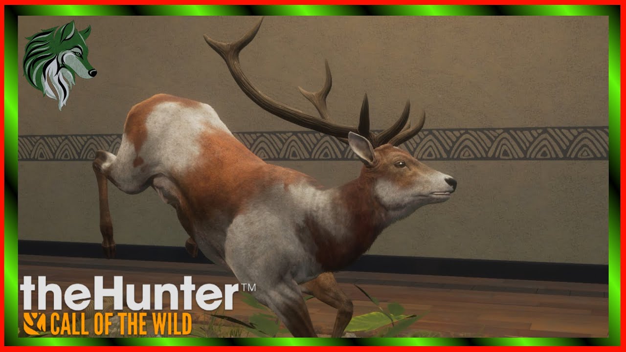 PIEBALD TruRACS RED DEER! theHunter Call Of The Wild