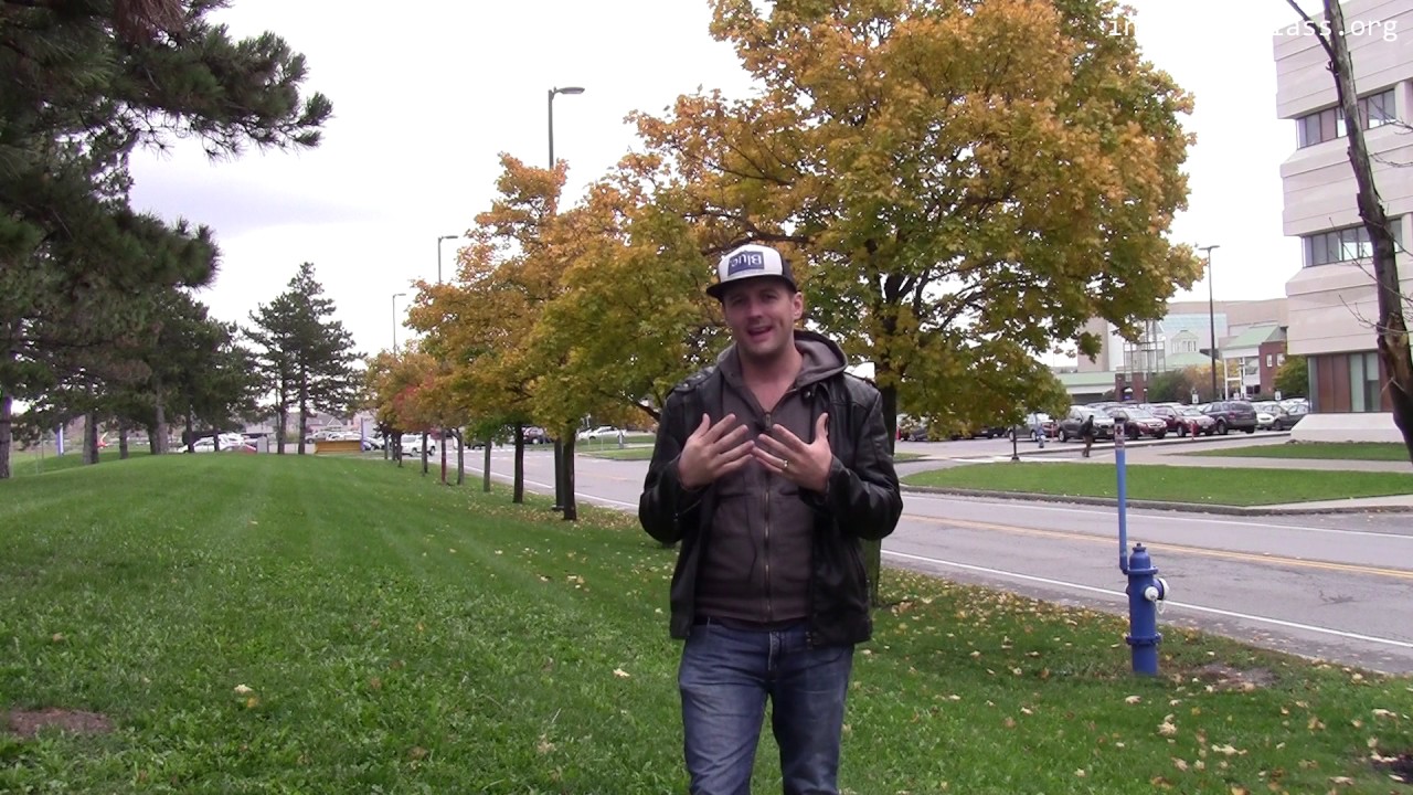 Your Brain & the Internet: An Introduction 🌐