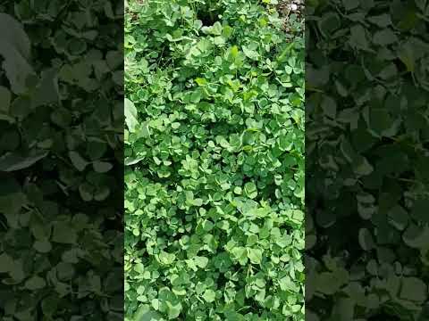 Beautiful Mathe #youtube #viral