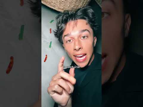 I Got OUTSMARTED by a Rat.. 🧠😭 #relatablestories #comedy #funnymemes