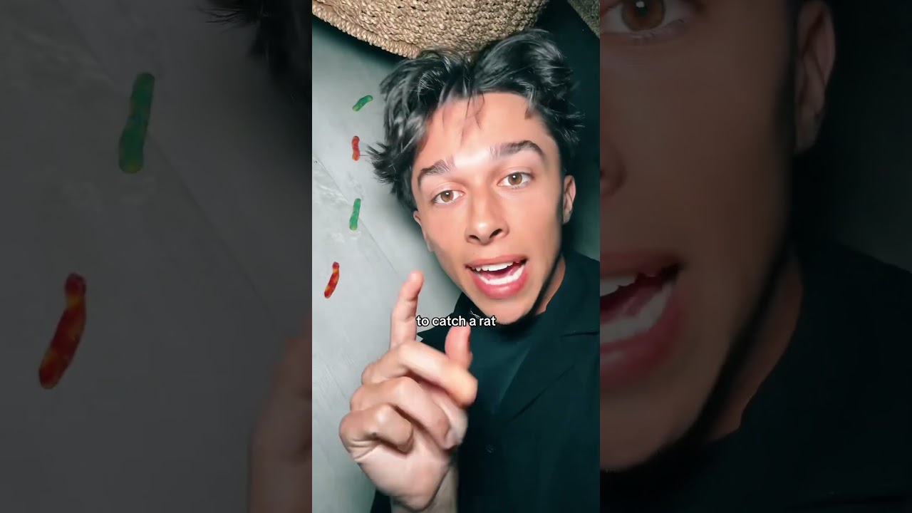 I Got Outwitted by a Rat in the Funniest Way 🐭😂