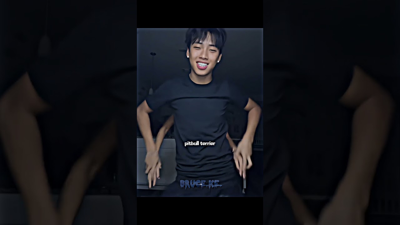 Pitbull Terrier Dance πΆ