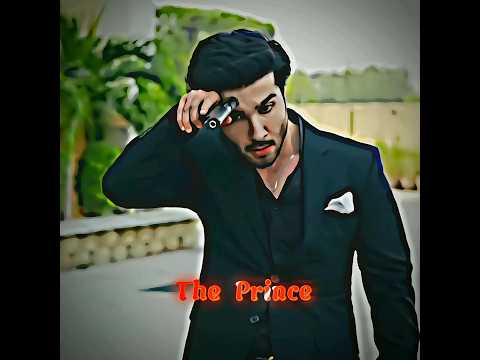 Mir Hadi | The Prince 🤴 Feroz khan edits 🥵 Attitude 😎 #feroz #ferozkhan #attitudestatus
