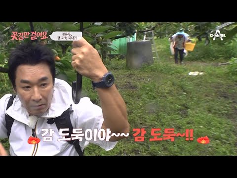 배우 이창훈 인생 최대 위기♨ 감 도둑으로 오해 받은 썰 푼다 | 꽃길만 걸어요 49 회