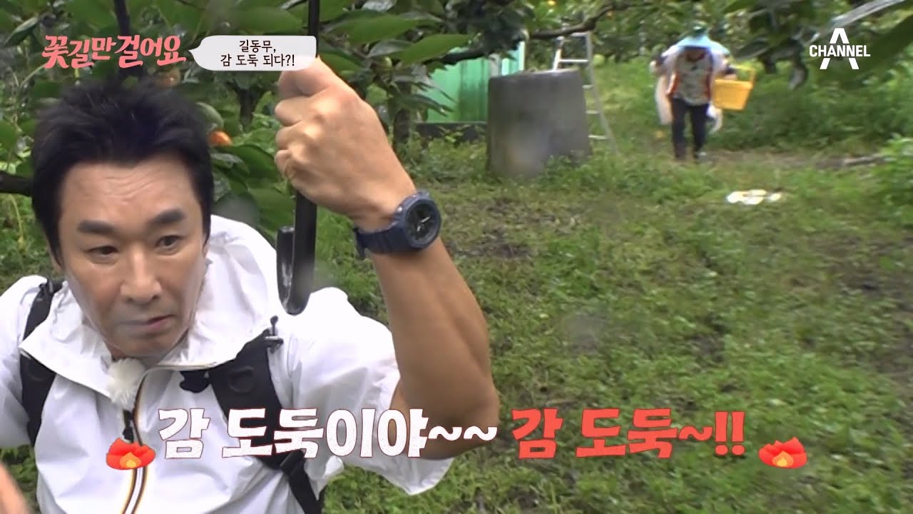 이창훈, 감 도둑 오해로 위기! 가을 남자 배우의 진솔한 이야기 🍂