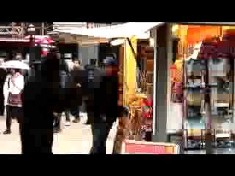 The King of the Bongo Bong