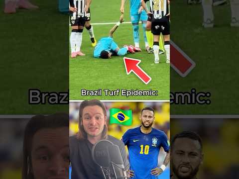 The Hidden Dangers of Artificial Grass 🌱😳