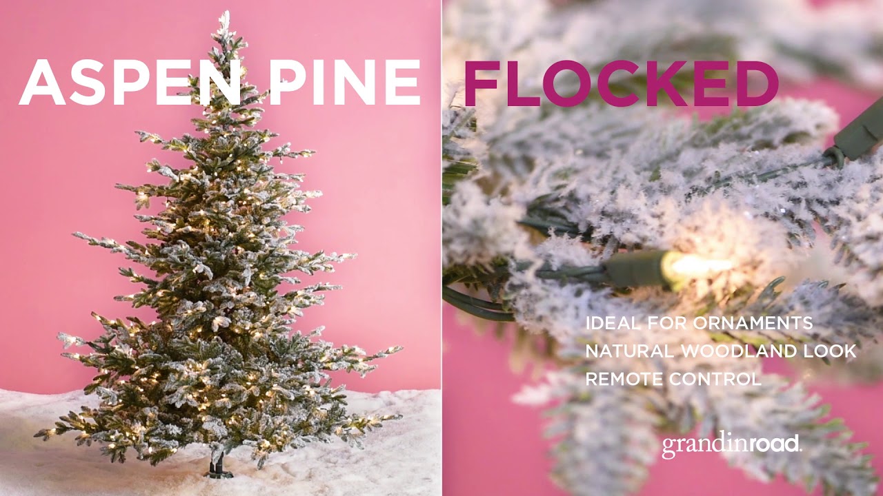 Christmas Tree Market at Grandin Road 🎄