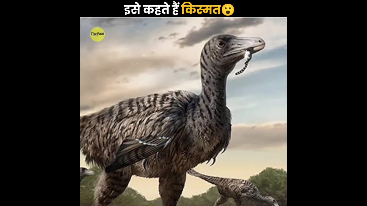 Incredible Discoveries Made by Genius Kids 🌟