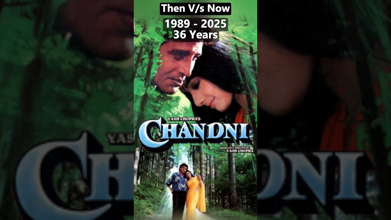 Chandni (1989) Cast: Then and Now – Where Are They Today? 🎬