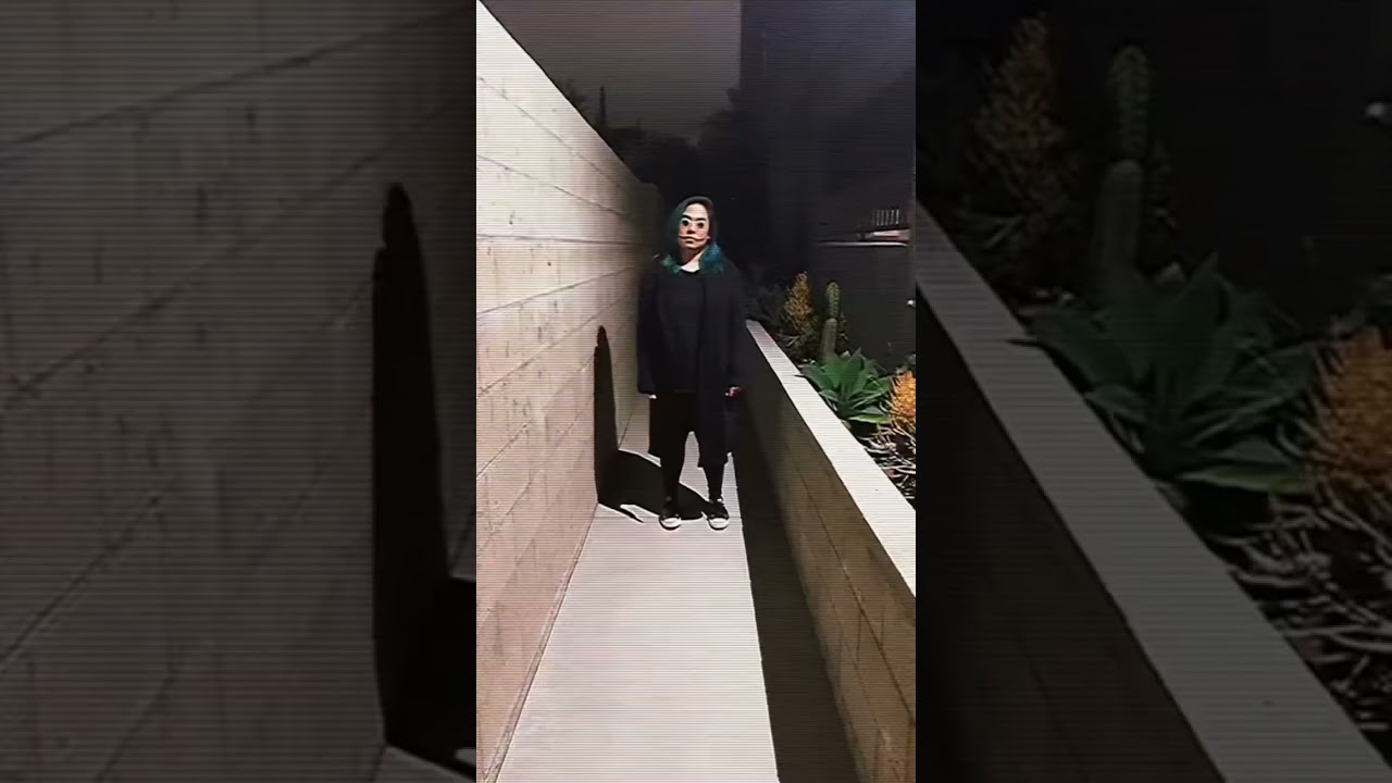 Always Close the Door Behind You! 🚪