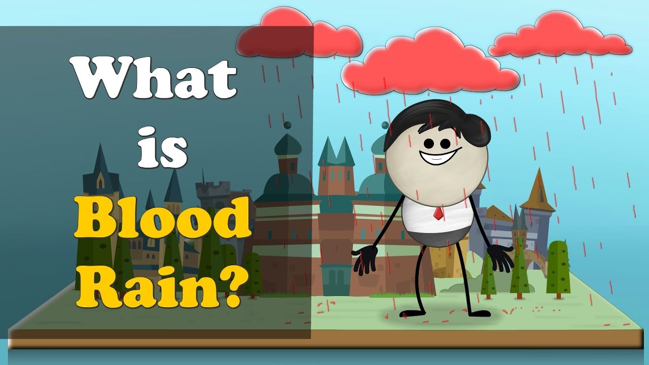 What Is Blood Rain? | Science for Kids 🌧️