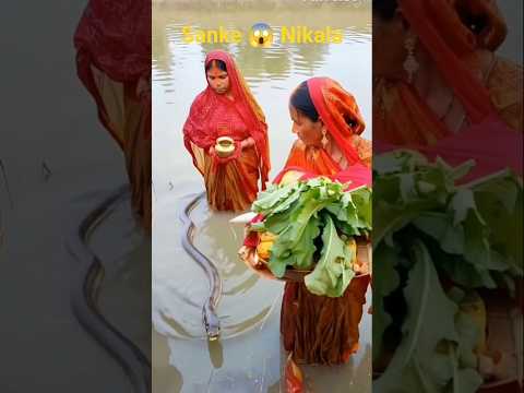 🐍 छठ पूजा में चमत्कार! दो मुँह वाला साँप देख लोग रह गए हैरान😱" #chhath  |#chhathpuja #shorts