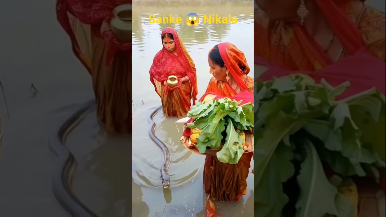 छठ पूजा में अद्भुत चमत्कार! दो मुँह वाला साँप देखकर हर कोई हैरान 😱