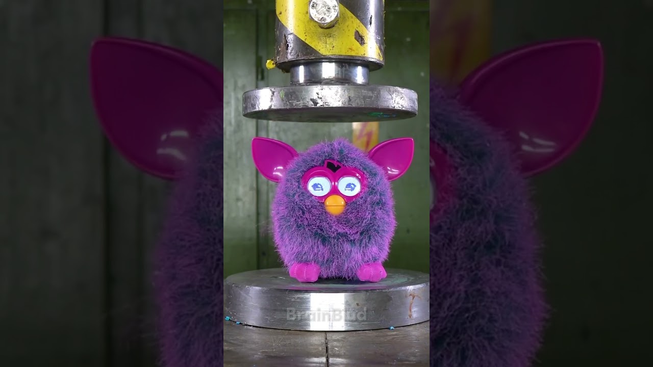 Random Not So Fun Facts 👀