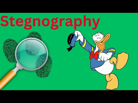steganography | Hacking Course | chapter 6
