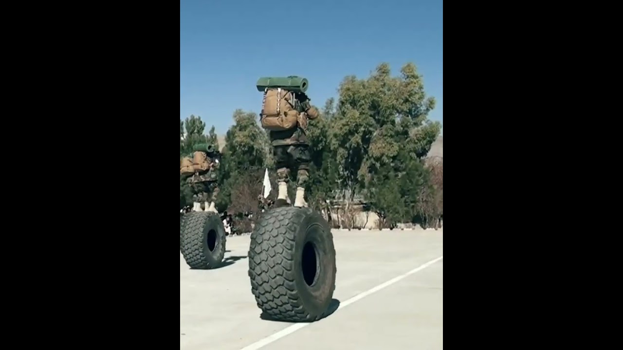 Afghanistan Taliban Resilience 💪