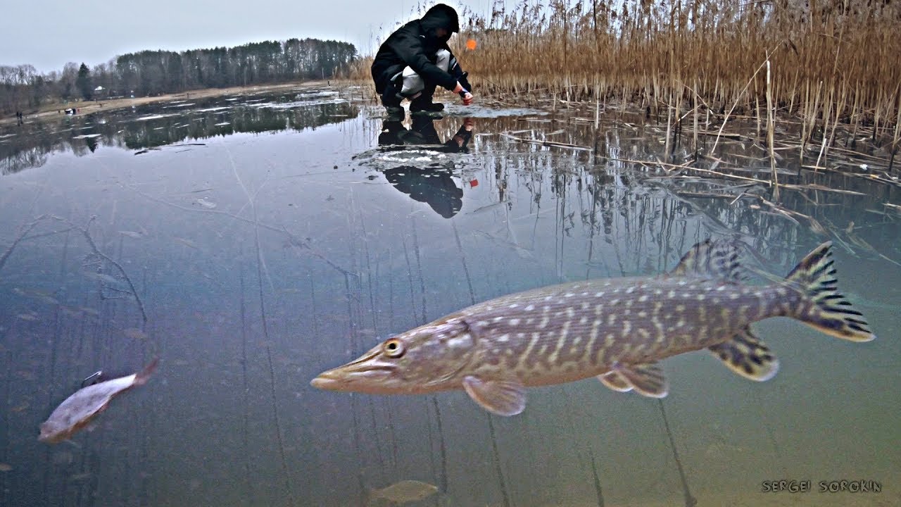 Ночная рыбалка на жерлицы: щука атакует плотву! Зимняя рыбалка 2020 ❄️