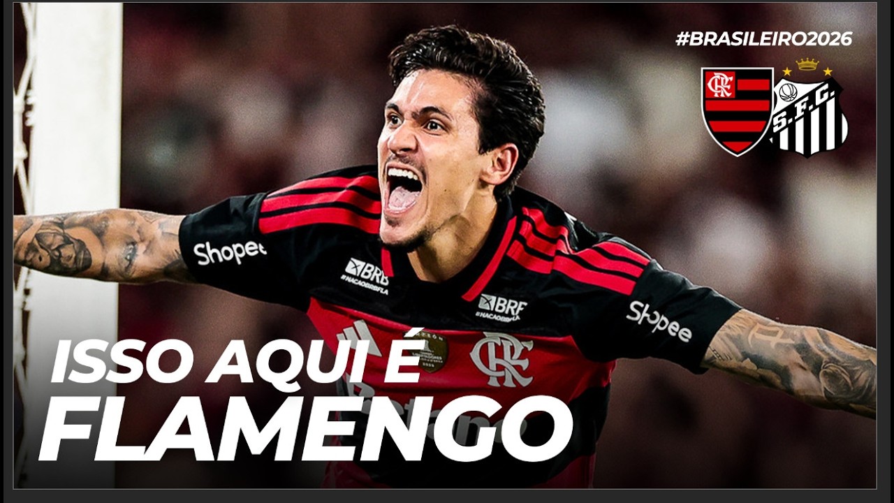 Flamengo 3x1 Santos | Brasileirão Highlights ⚽