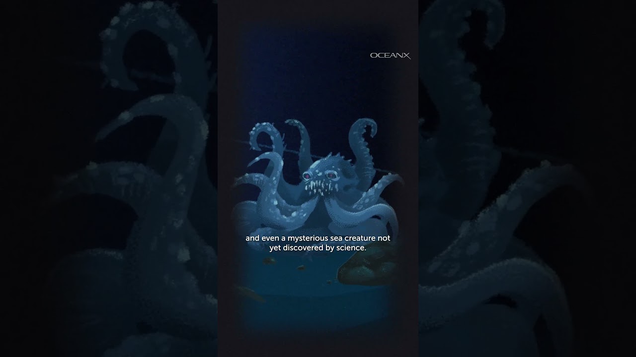 The Mysterious Bloop Sound Heard in the Ocean