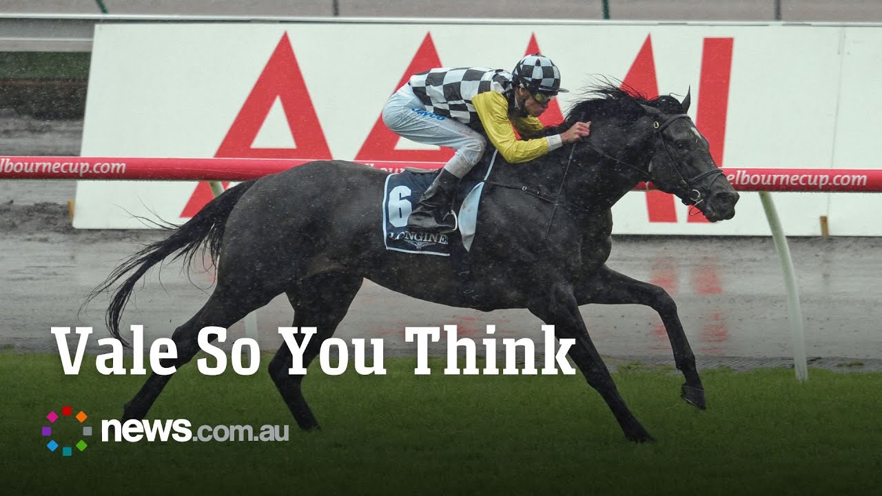 Horse Racing Loses So You Think 🐎