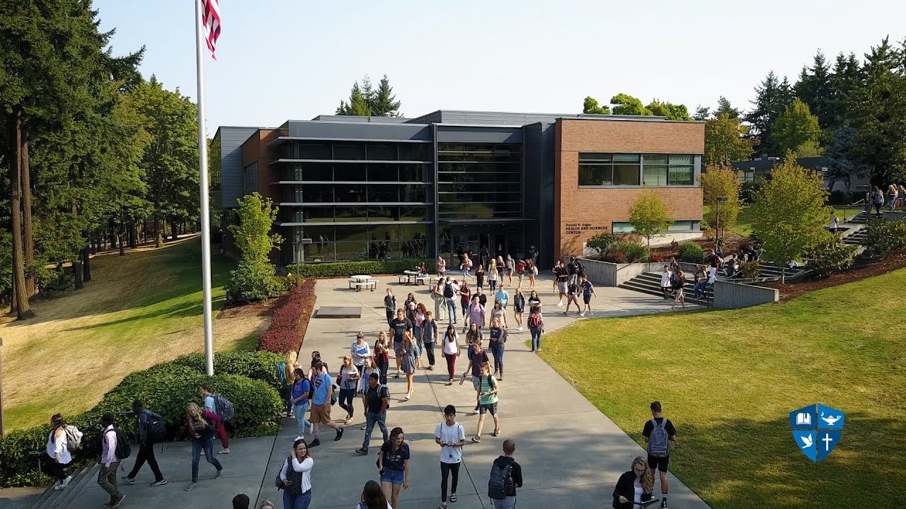 International Studies at Northwest University 🌍