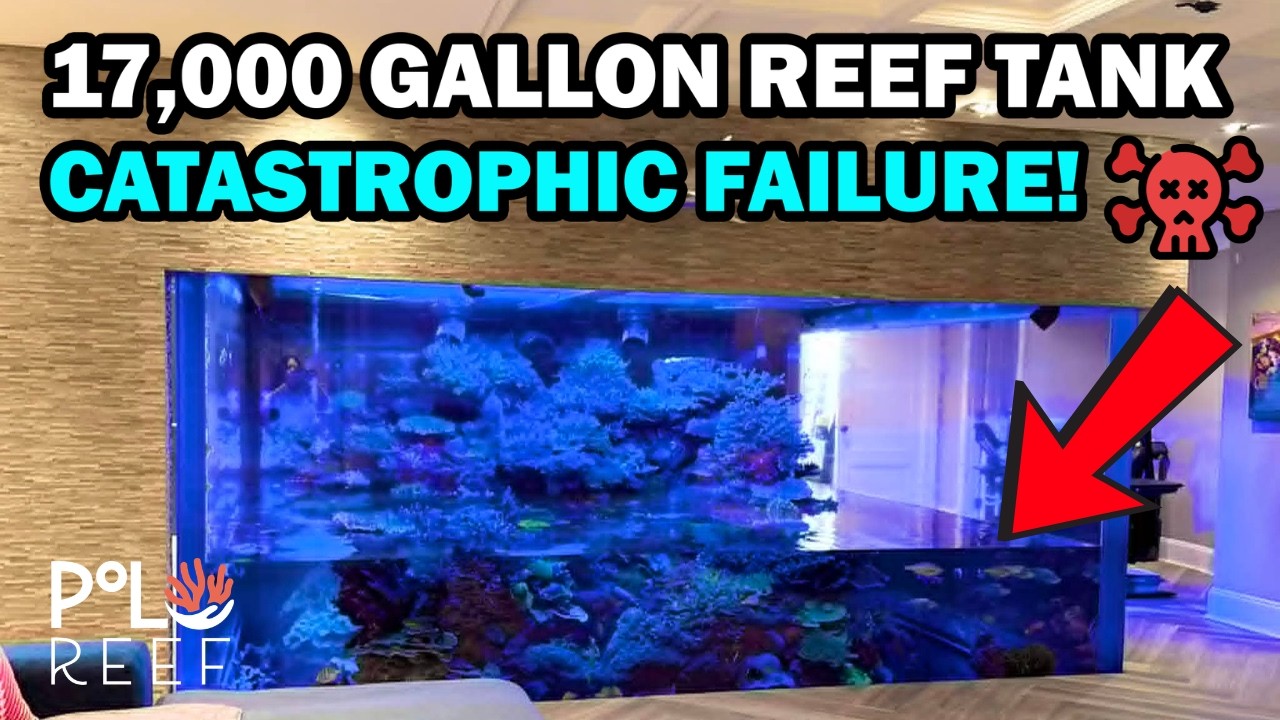 LARGEST HOME REEF AQUARIUM DISASTER!